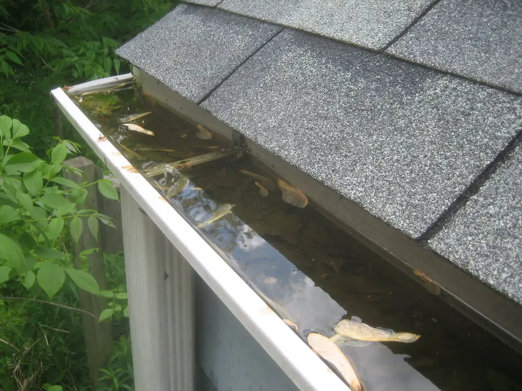 Not bothered to clean your gutters? What could possibly go wrong…