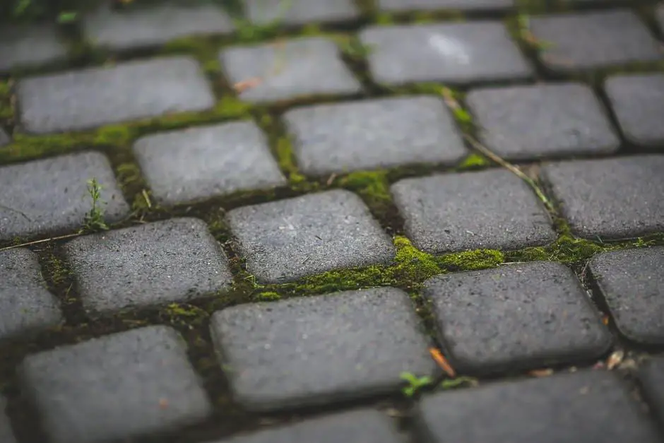 5 Perfect Paving and Driveway Solutions For Any Investment Property