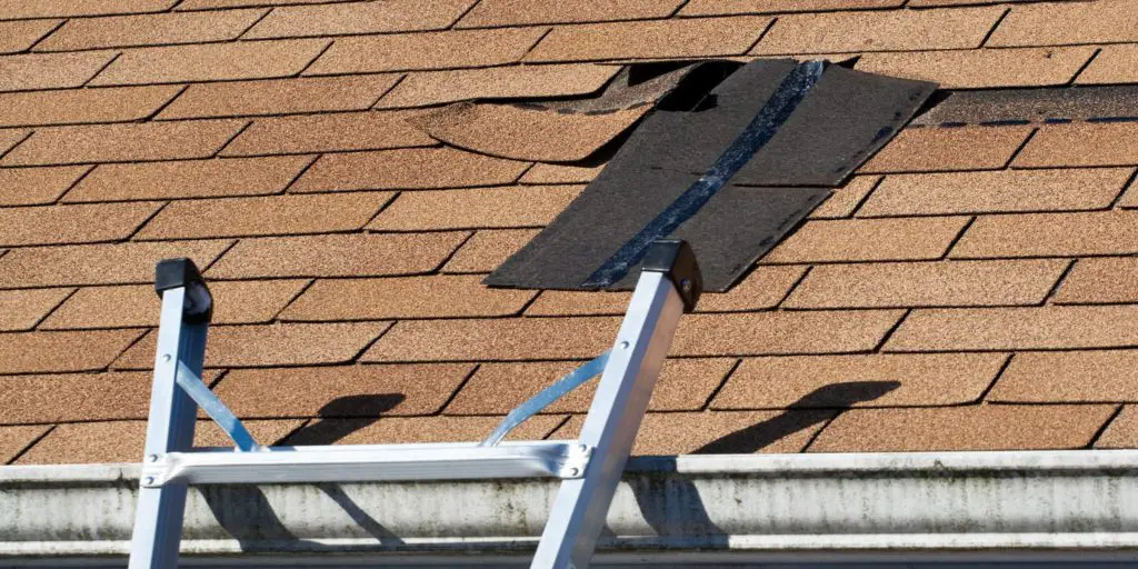 roof shingle maintenance